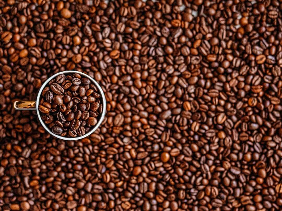 A cup amidst good quality whole espresso coffee beans