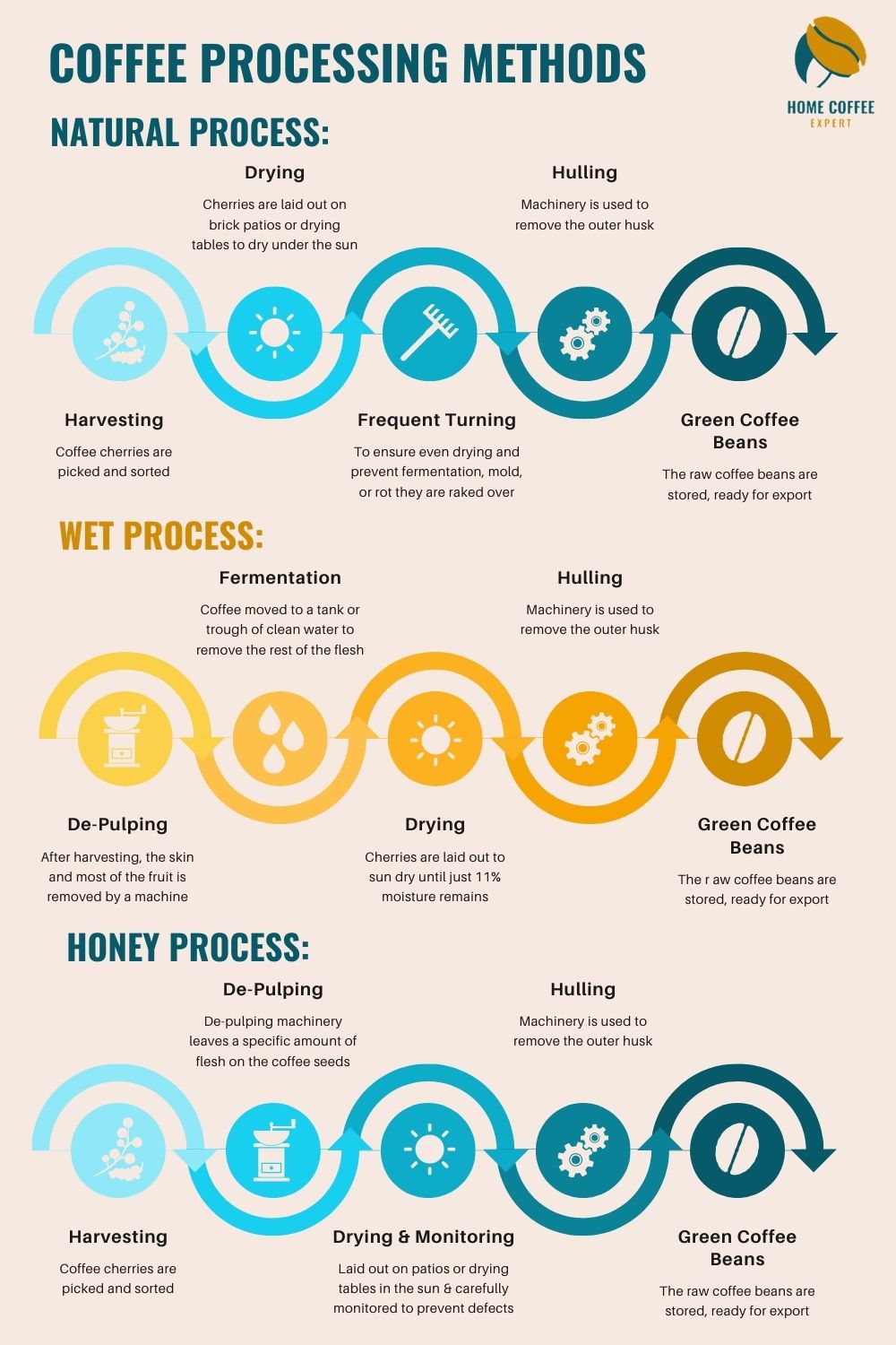 Step-by-step guides to the 3 biggest methods of coffee processing
