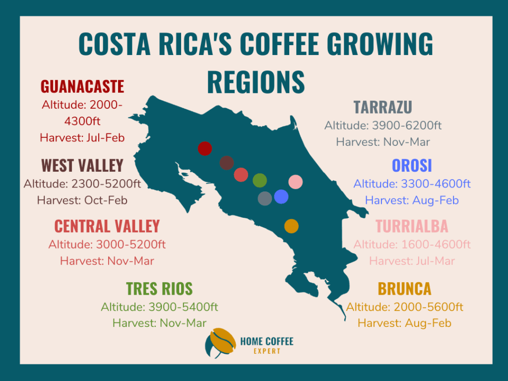 Infographic showing the different coffee growing regions in Costa Rica
