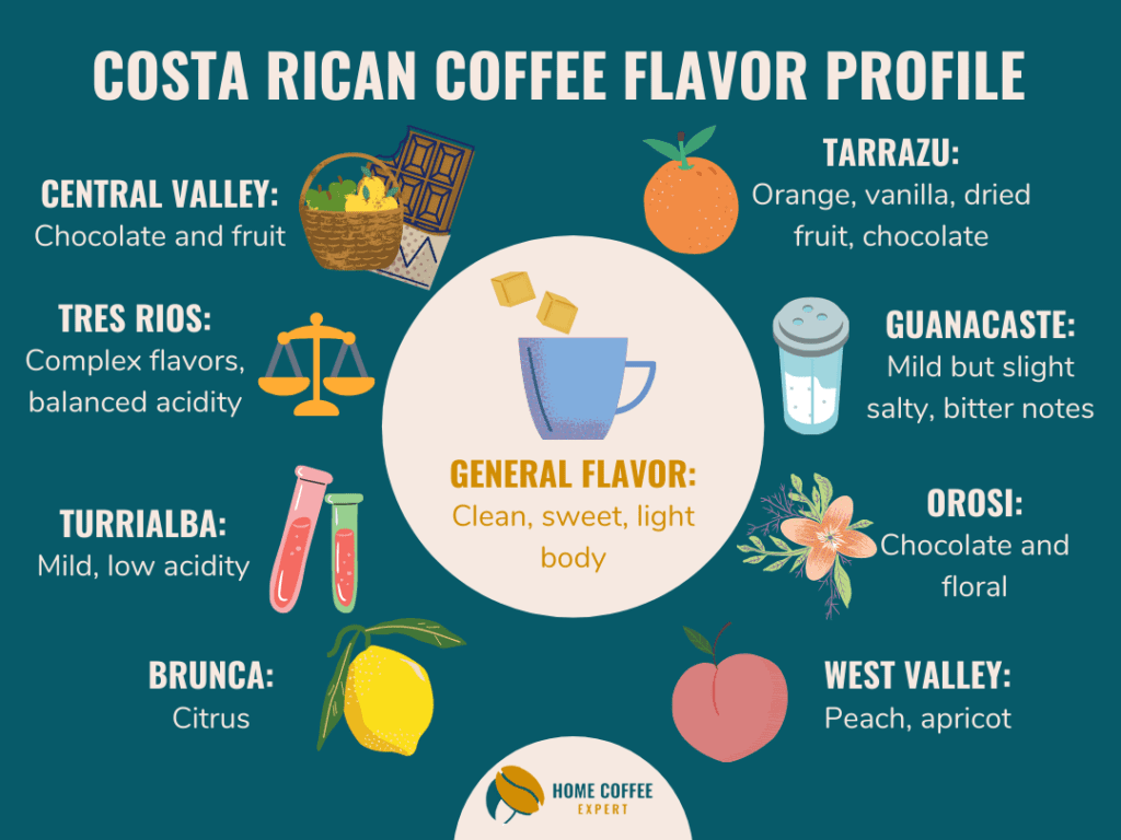 Costa Rican Coffee Flavor Profile - An Infographic