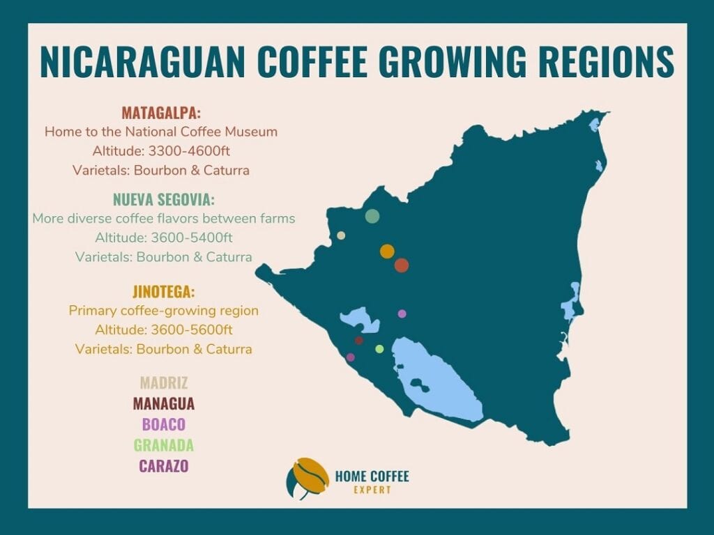 Infographic of the Nicaraguan Coffee Growing Regions - Map and Top Facts
