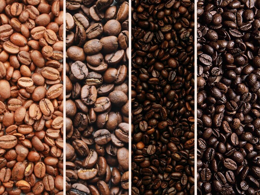 Variation in coffee bean roasts - Light, medium. medium-dark and dark roasts