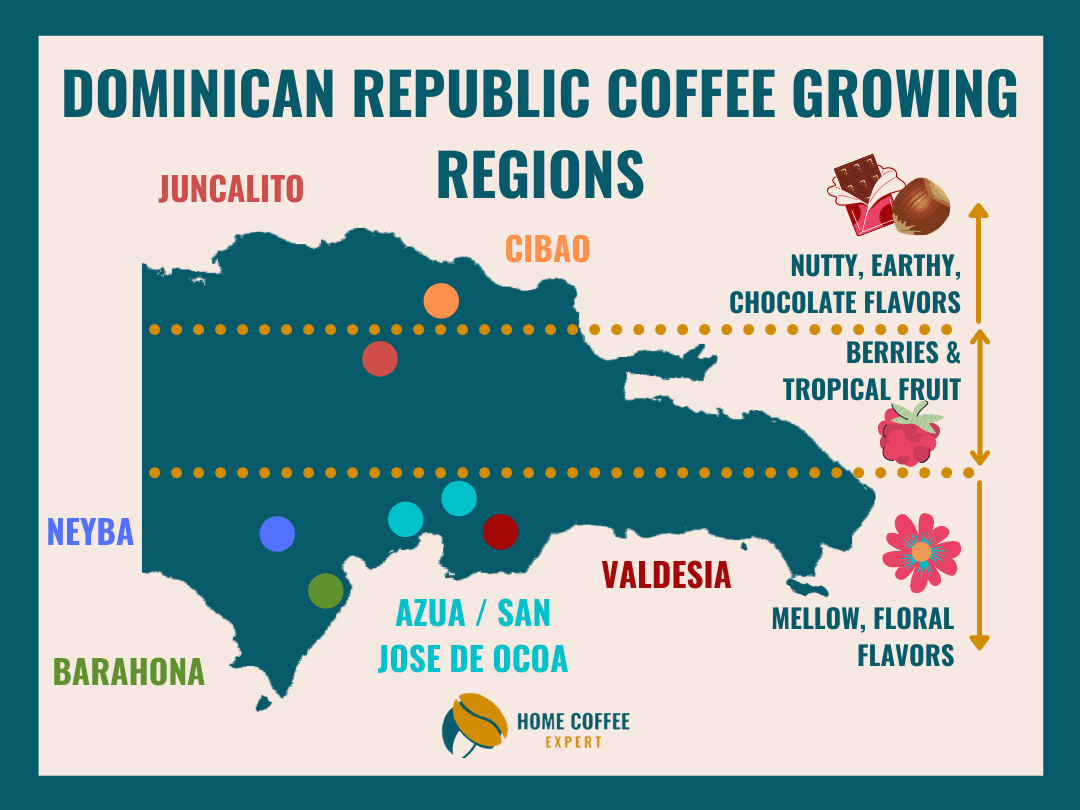 Infographic: Dominican Coffee Growing Regions