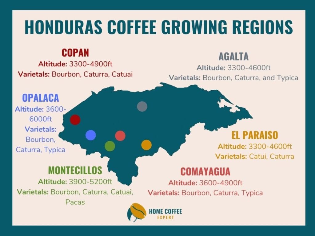 Infographic: Honduras Coffee Growing Regions