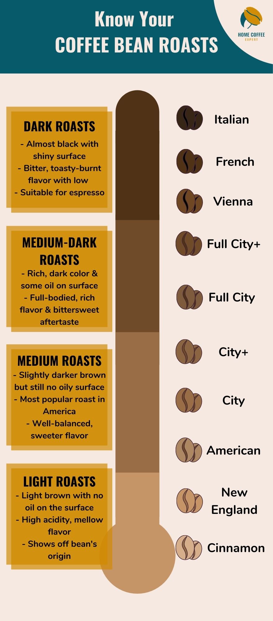 Infographic: Know your coffee bean roasts