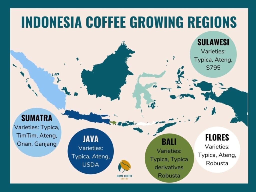 Indonesia Coffee Growing Regions & Varieties