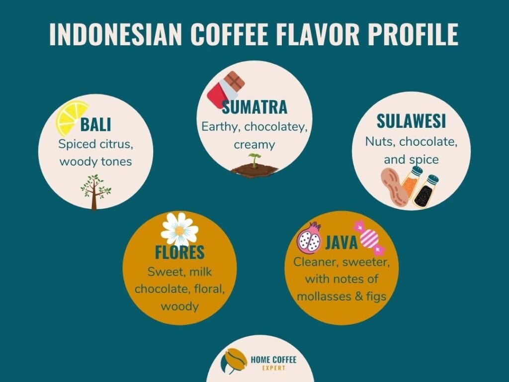 Indonesian Coffee Flavor Profile by Island