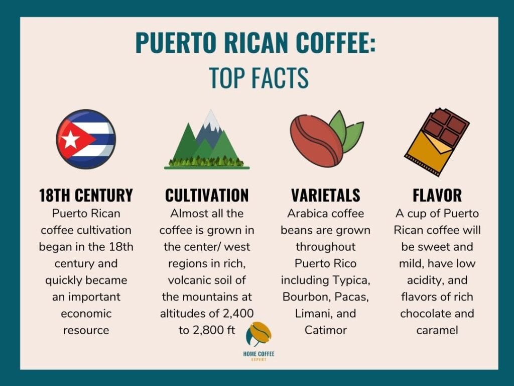 Puerto Rican Coffee: Top Facts Infographic