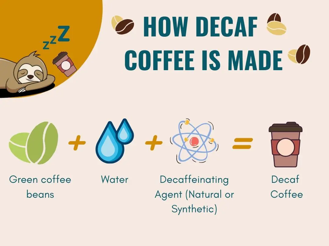 How is Decaf Coffee Made? An Infographic Overview