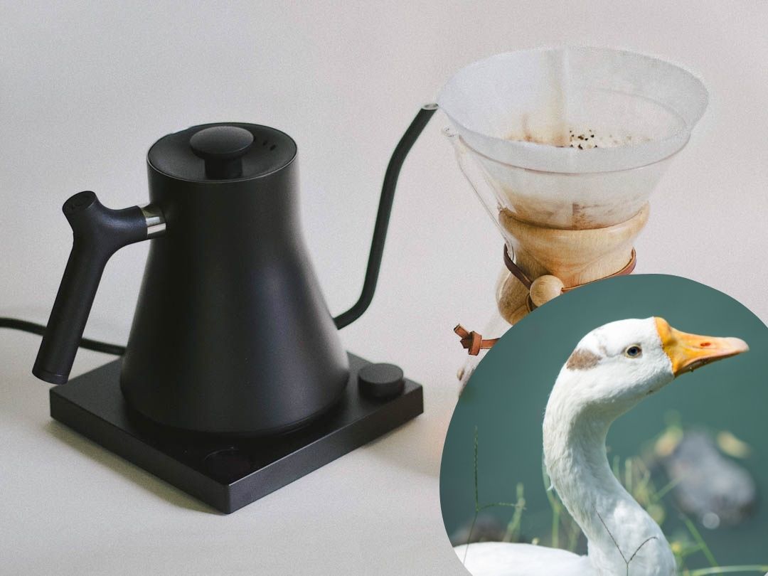 Best gooseneck kettle (Stagg) compared to picture of an actual goose