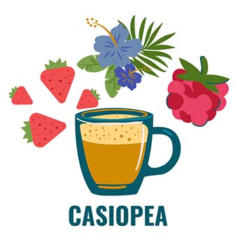 Casiopea coffee beans smell floral and taste of strawberry/raspberry