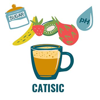 Catisic has sweet fruit notes and low acidity