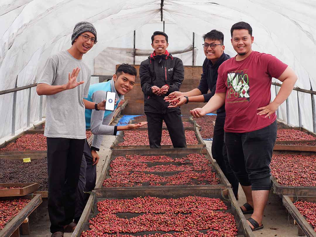 Five coffee farmers in West Sumatra, Indonesia