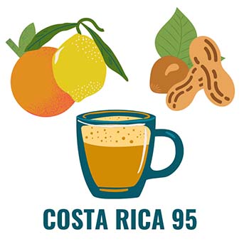Costa Rica 95 Taste: Low acidity, light citrus, nutty