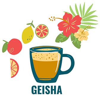 Geisha Coffee Variety Tastes Floral and Fruity