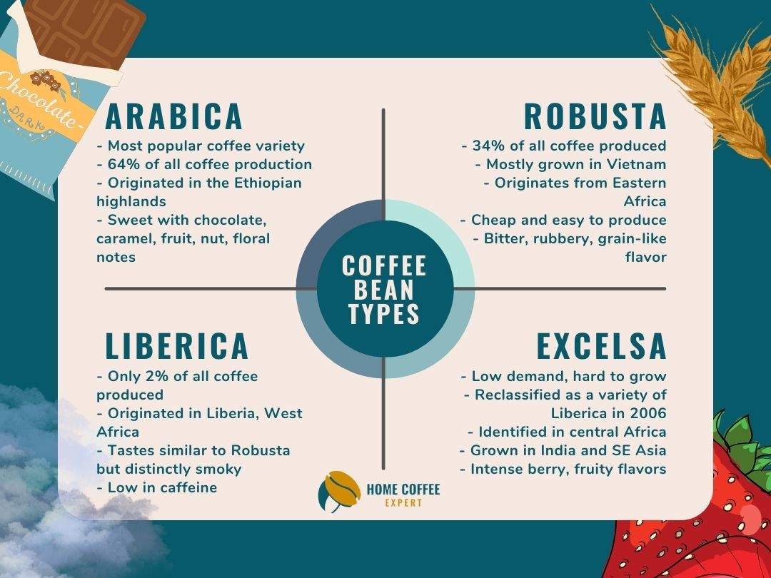 Infographic: Four Most Common Types of Coffee Beans