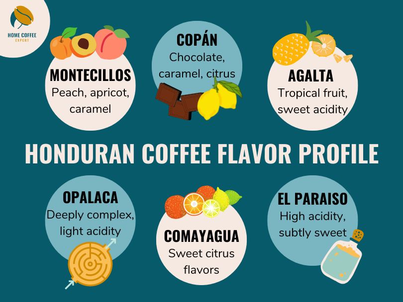 Honduran Coffee Flavor Profiles by Region