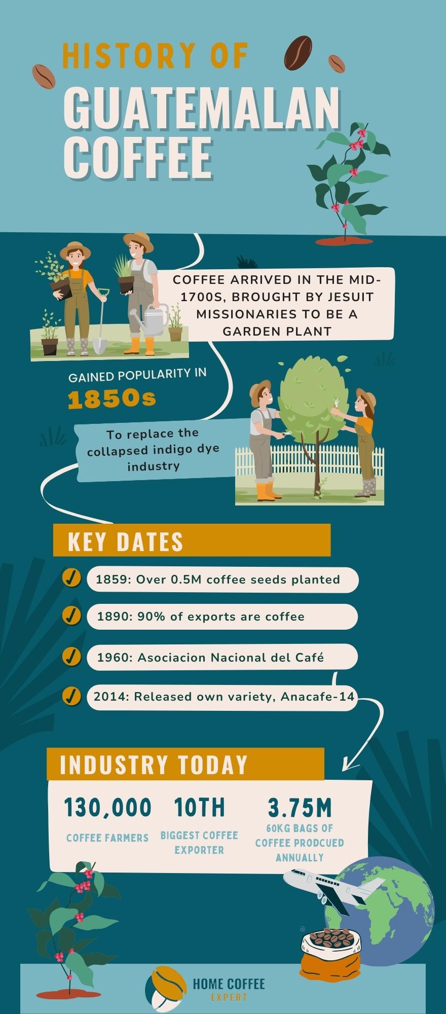 Infographic - History of Guatemalan Coffee
