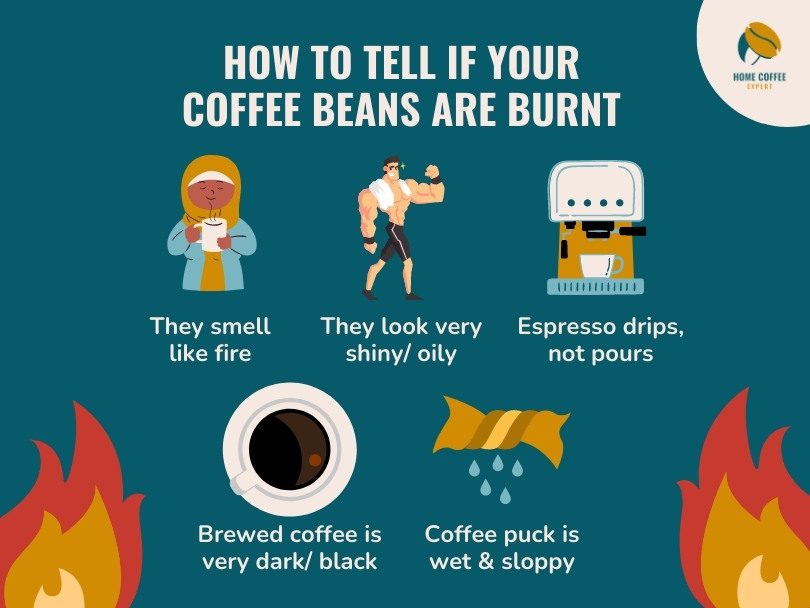 Infographic: How to Tell if Your Coffee Beans are Burnt
