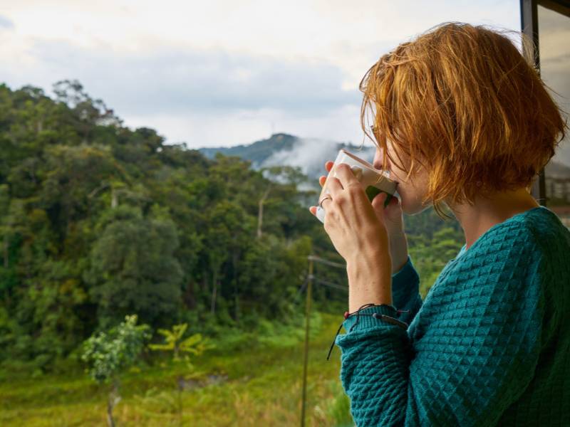 Woman drinking coffee whilst overlooking a field of coffee trees