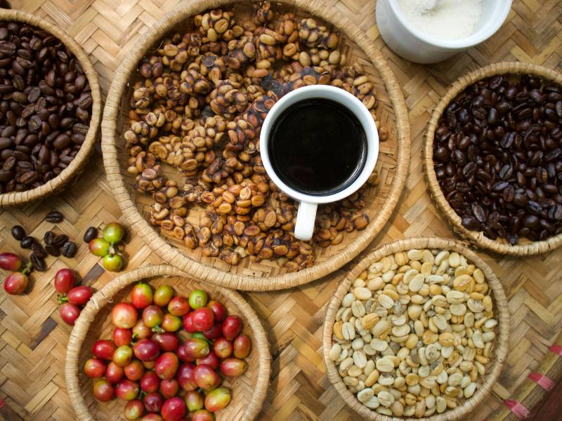 Selection of Indonesian coffee including raw cherries, green coffee beans, roasted coffee, and Kopi Luwak