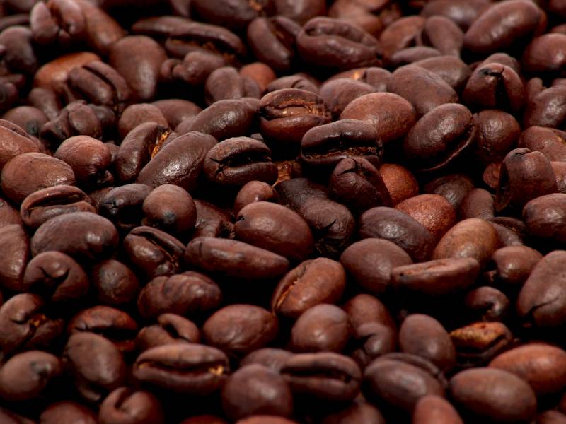 Close up of roasted peaberry coffee beans