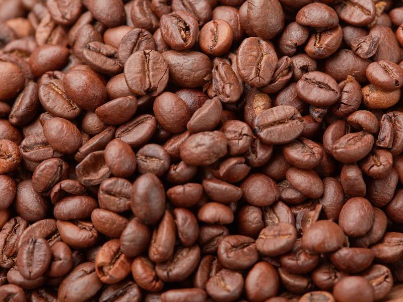 Close up of regular coffee beans (roasted)