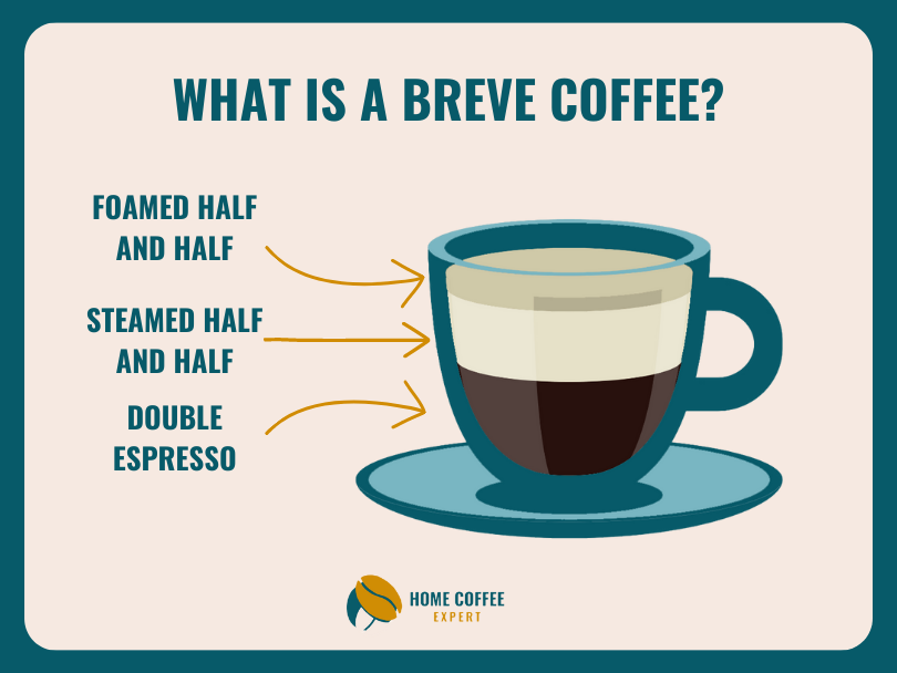 Illustration of what is a breve coffee showing layers of double espresso, steamed half and half, and foamed milk and half milk