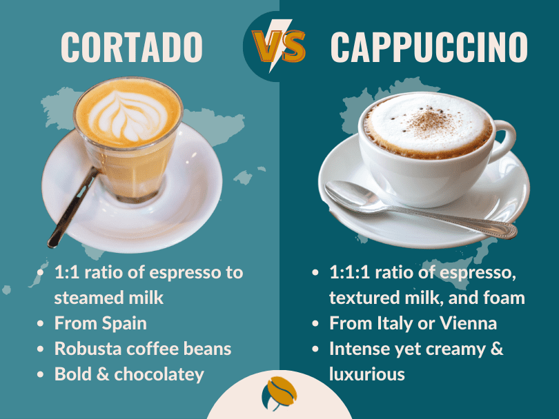 Infographic comparing the key differences of cortado vs cappuccino