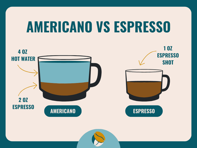 Infographic showing a visual representation of the components of an amercicano vs espresso