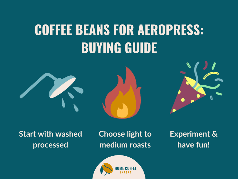 Infographic: Buying guide for choosing the best coffee beans for AeroPress