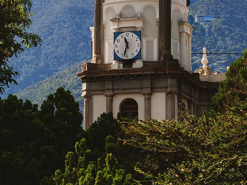 The Clock Tower Cathedral in Mérida, Venezuela surrounded by coffee trees