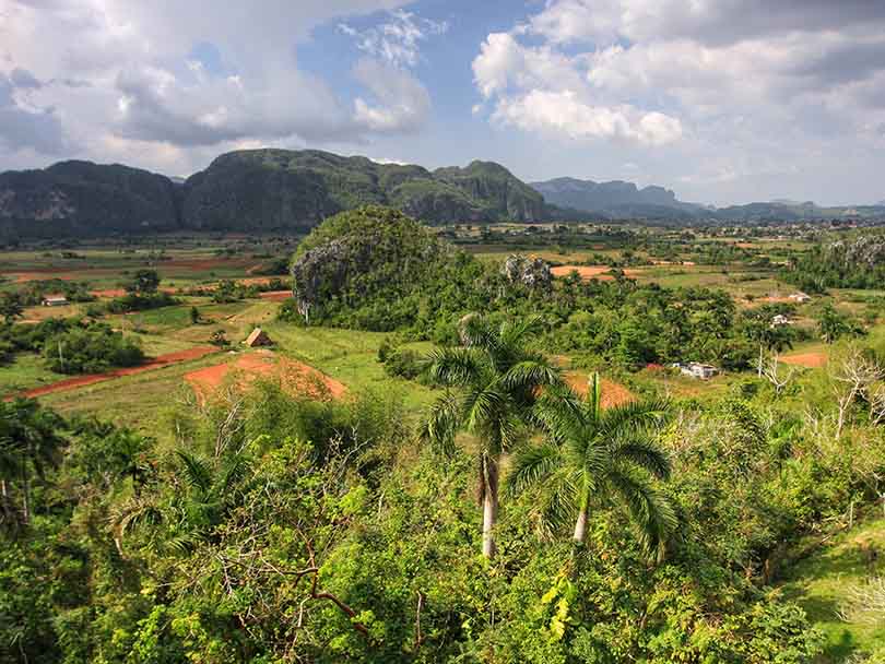 Landscape photo across Viñales, Cuba of the mountains and tobacca/ coffee farm land