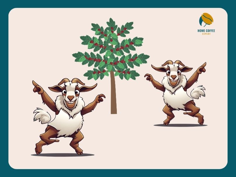 Cartoon depciting the origin of coffee: two goats are dancing around a coffee tree