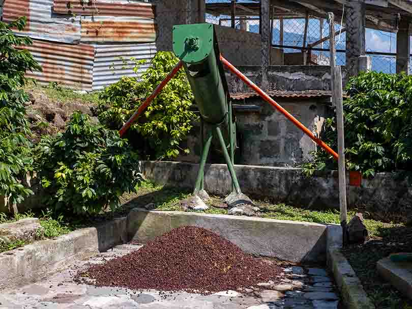 Processing coffee at community processing plant in Lake Atitlan, Guatemala